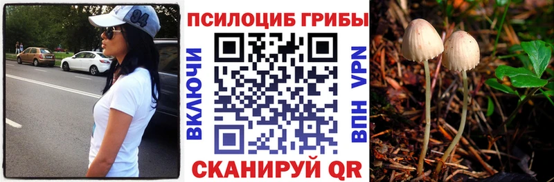 Галлюциногенные грибы ЛСД  купить наркотик  Ершов 